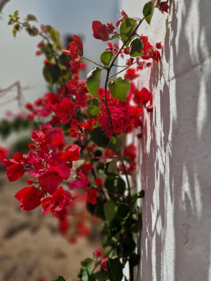 Casa Vivi Fuerteventura Apartment Corralejo Luaran gambar